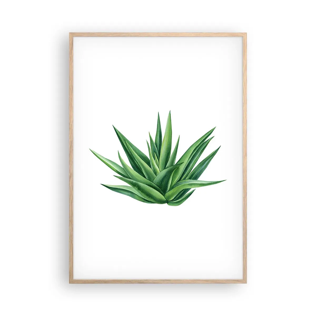 Plakat w ramie jasny dąb - Zieleń – siła – życie - 70x100 cm