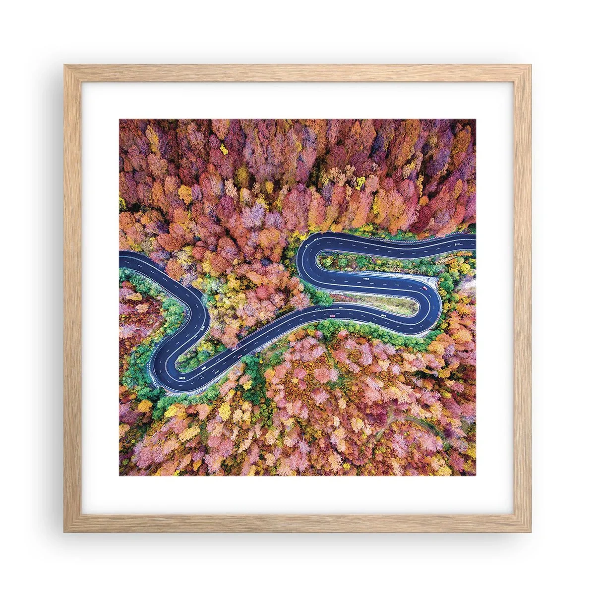 Plakat w ramie jasny dąb - Krętą drogą poprzez las - 40x40 cm