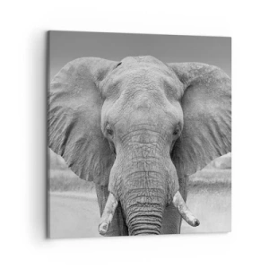 Obraz na płótnie - Witaj w moim świecie - 50x50 cm