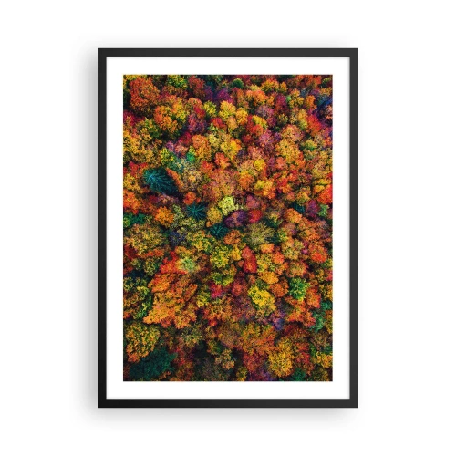 Plakat w czarnej ramie - Kolorowy las widziany z lotu ptaka w jesiennej palecie barw - 50x70cm - Bukiet jesiennych drzew - Nowoczesna dekoracja ścienna do salonu i sypialni ARTTOR