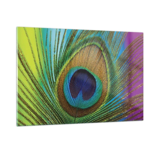 Obraz na szkle - Barwne pióro pawia w zbliżeniu - 120x80cm - Oko w oko - Nowoczesna dekoracja ścienna do salonu, kuchni i sypialni ARTTOR