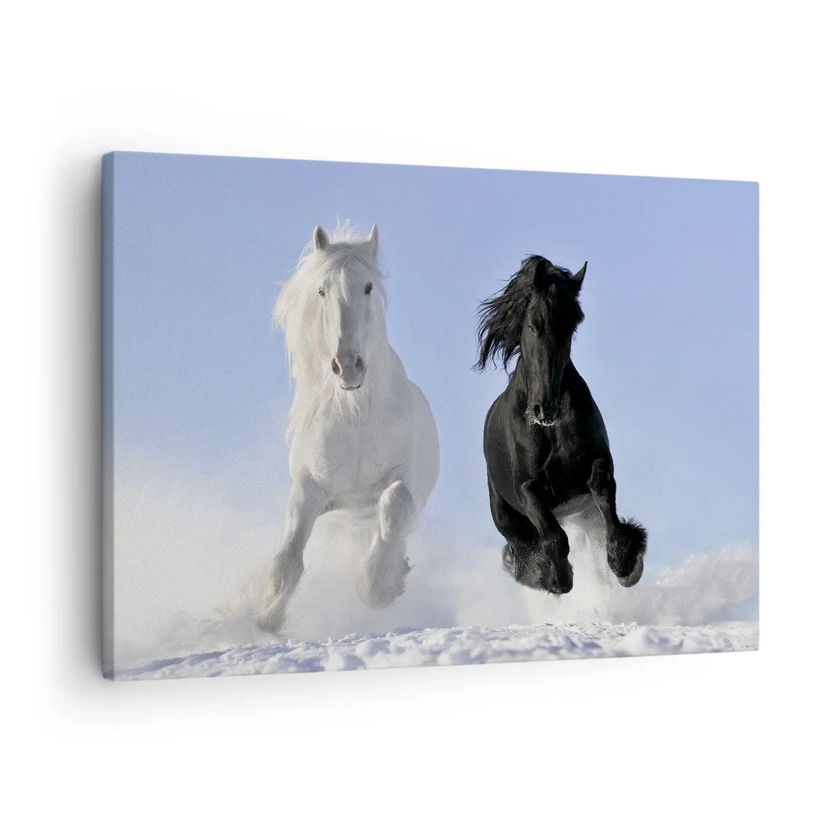 Obraz na płótnie - Biały i czarny koń galopujące po śniegu - 70x50cm - Czarno-biały galop - Nowoczesna dekoracja ścienna do salonu i sypialni ARTTOR