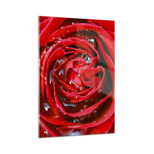 Obraz na szkle - Zbliżenie na czerwoną różę z kroplami rosy - 50x70cm - W kroplach rosy - Nowoczesna dekoracja ścienna do salonu, kuchni i sypialni ARTTOR