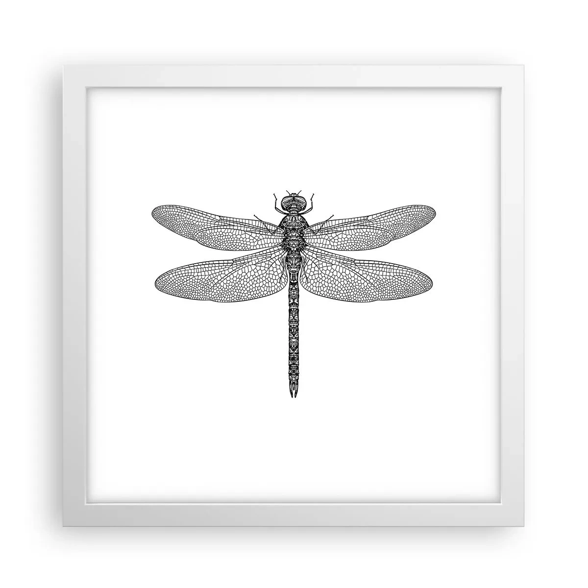 Plakat w białej ramie - Precyzja natury - 30x30 cm