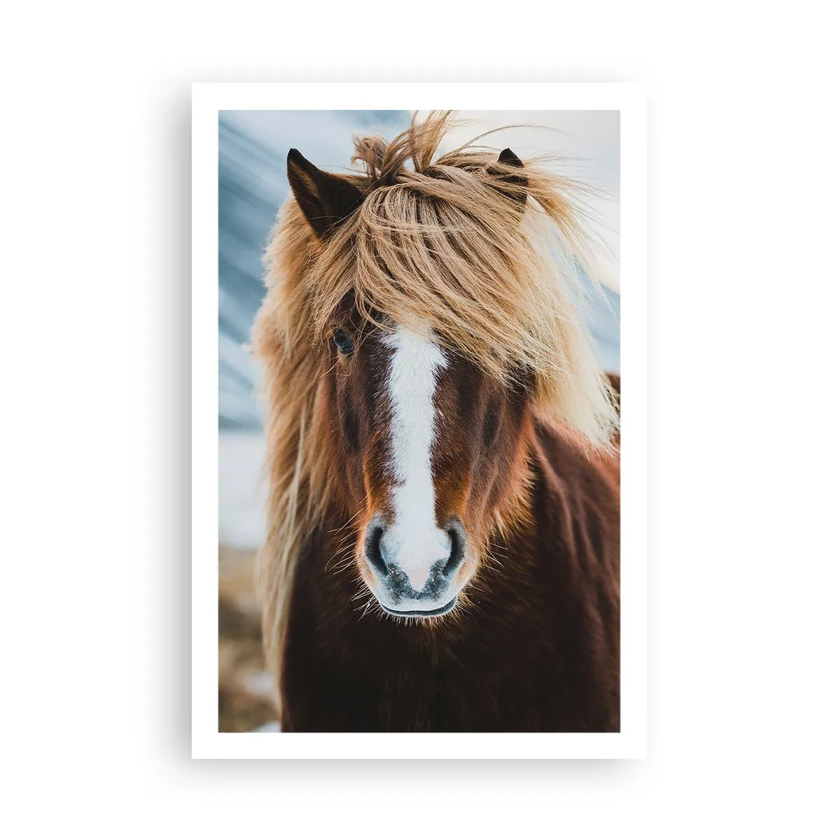 Plakat - Czujesz wolność? - 61x91 cm