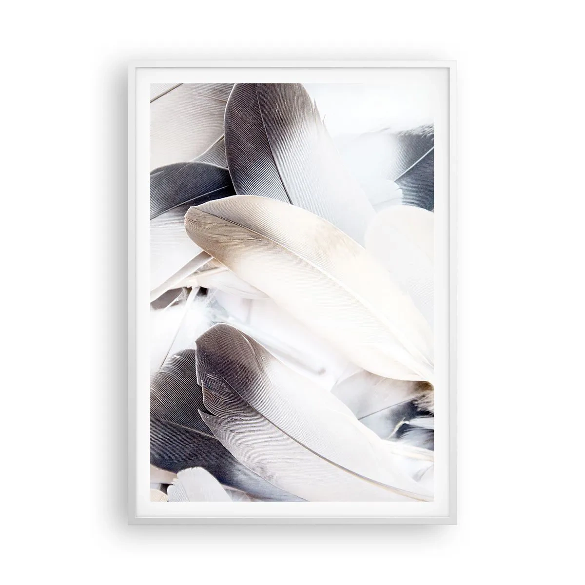 Plakat w białej ramie - Niemal anielskie - 70x100 cm