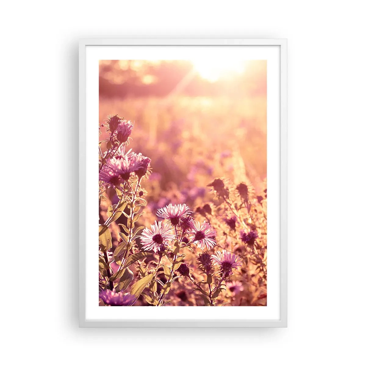 Plakat w białej ramie - Przed odejściem lata - 50x70 cm