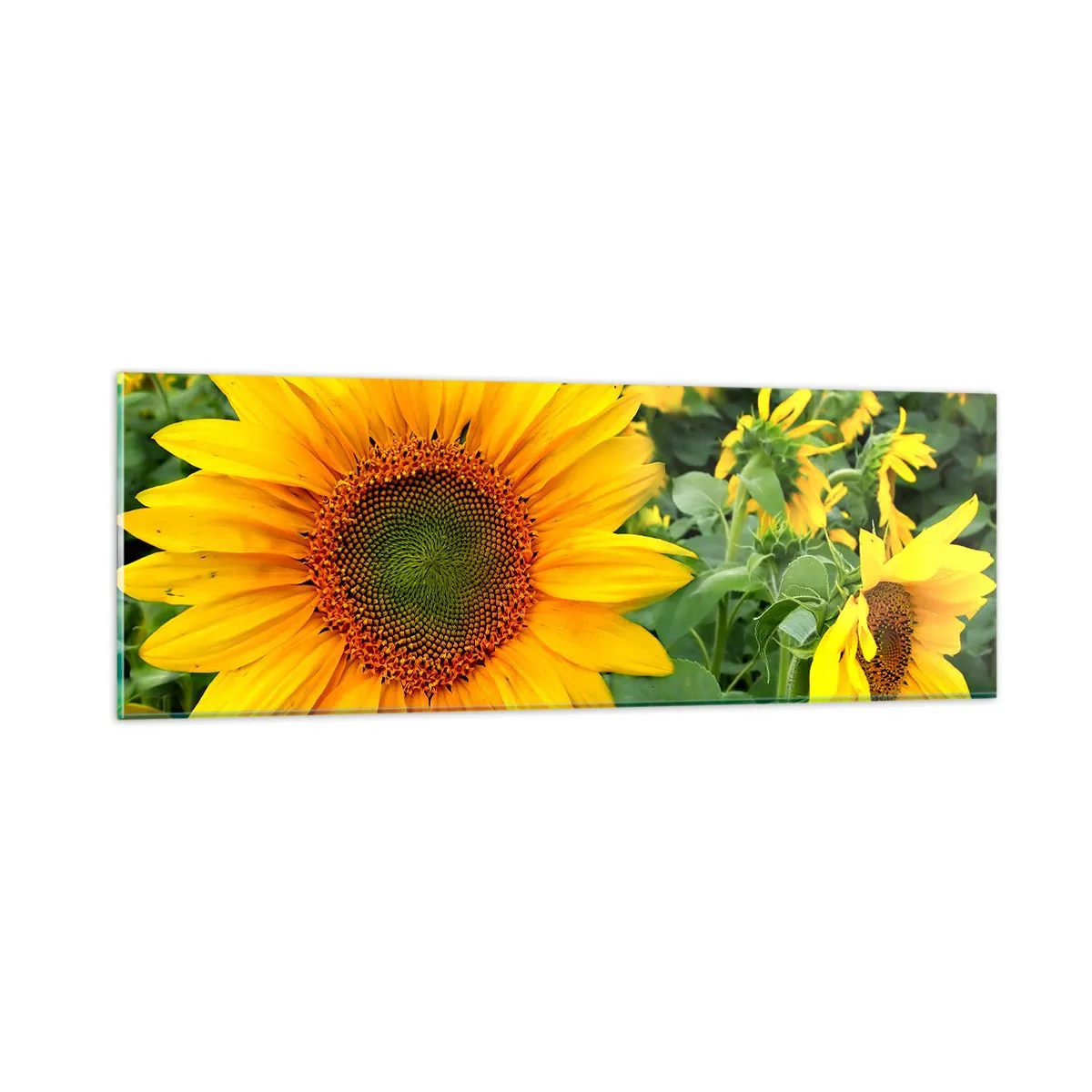 Obraz na szkle - Rozgorzały setki słońc - 90x30 cm