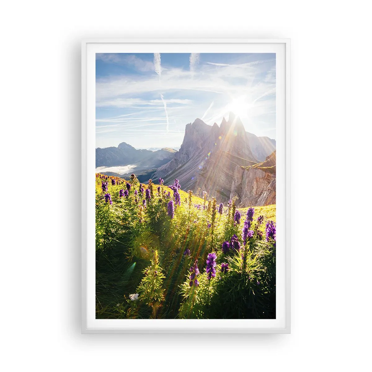 Plakat w białej ramie - Sekretne życie ziół - 70x100 cm