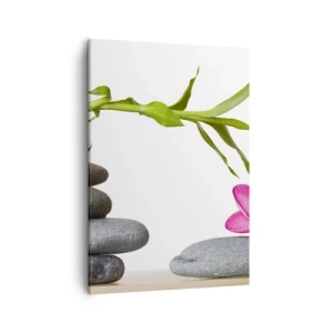 Obraz na płótnie - Zielony bambus, kamienie i różowy kwiat na białym tle - 50x70cm - Kolory życia i trwania - Nowoczesna dekoracja ścienna do salonu, kuchni i sypialni ARTTOR