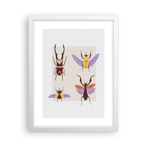 Plakat w białej ramie - Owadzi świat - 30x40 cm