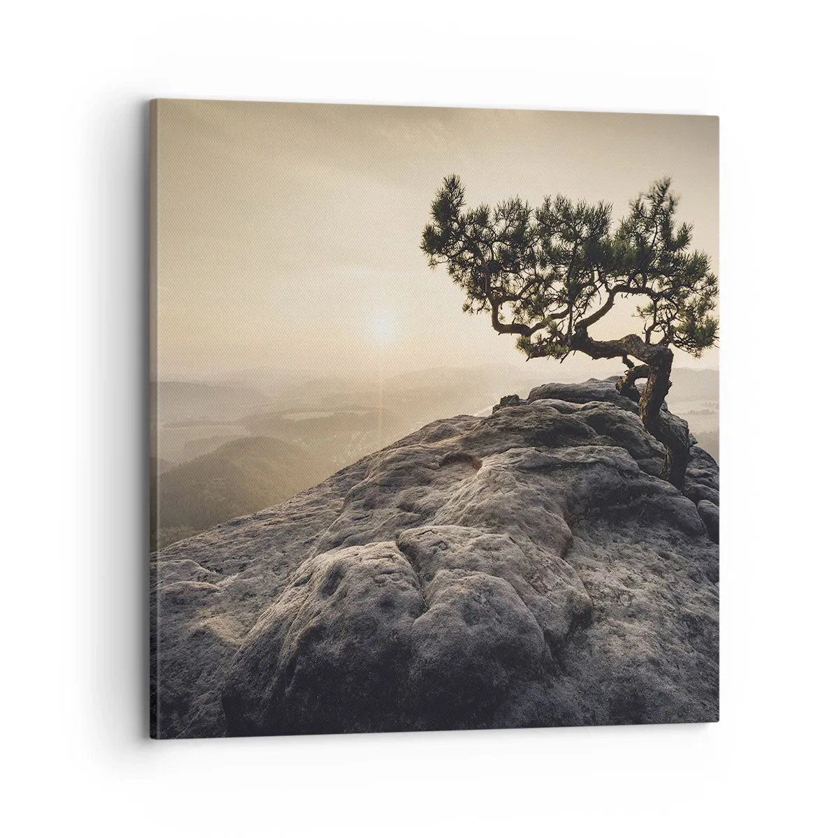 Obraz na płótnie - Życie zawsze zwycięża - 70x70 cm