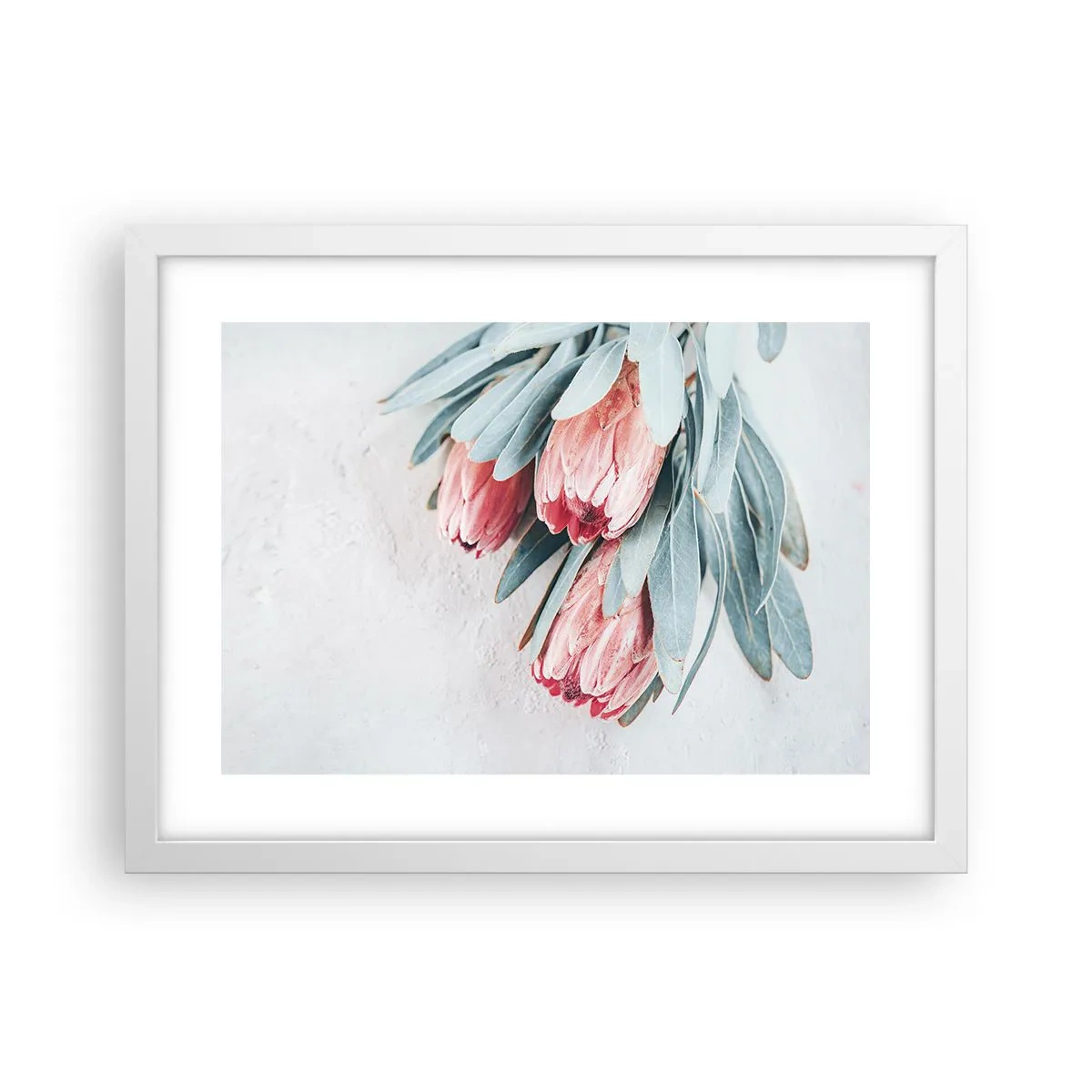 Plakat w białej ramie - Zawstydzone własną urodą - 40x30 cm