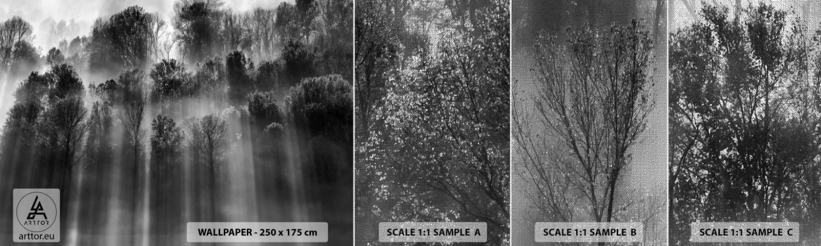 Fototapeta Próbka Premium Canvas - W strumieniach światła - Krajobraz, Las, Czarno-Biały - 100x30 cm