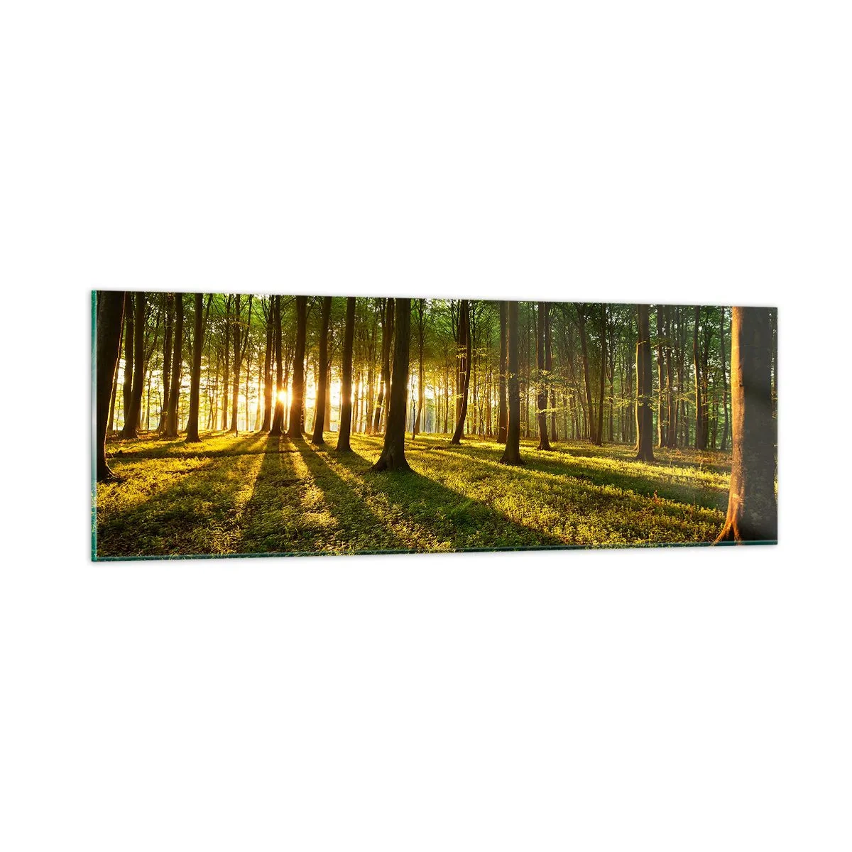 Obraz na szkle - Fotografia wszystkich wiosen - 90x30 cm