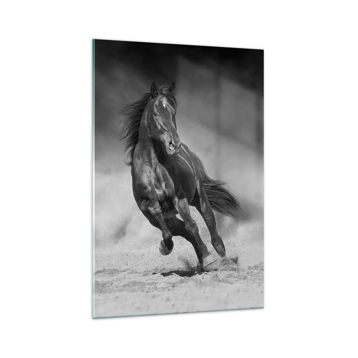 Obraz na szkle - Czarno-biały koń galopujący po piasku - 70x100cm - Godny samego emira - Nowoczesna dekoracja ścienna do salonu i sypialni ARTTOR
