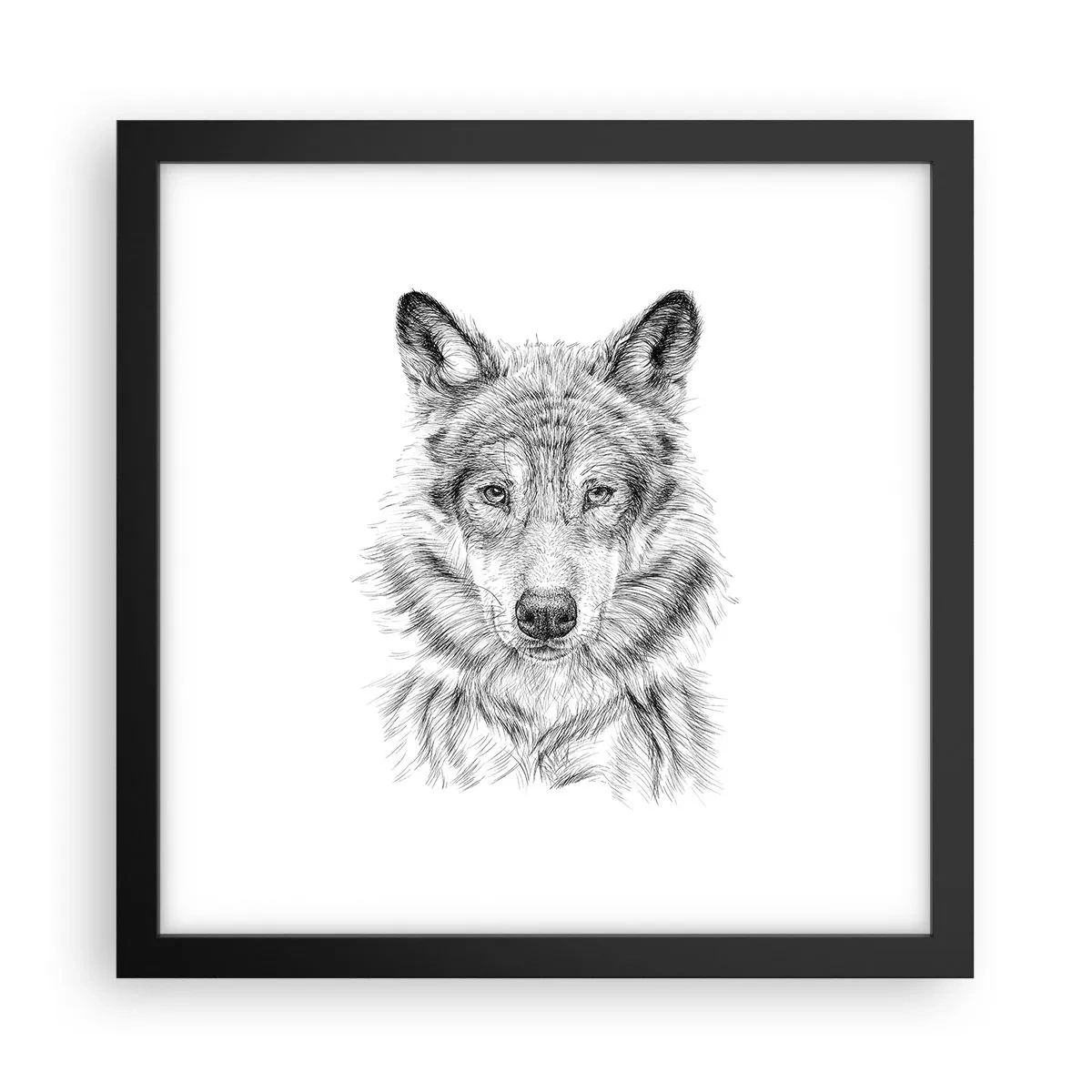 Plakat w czarnej ramie - Urodzony przywódca - 30x30 cm