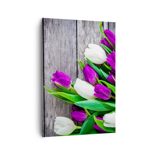 Obraz na płótnie - Bukiet fioletowych i białych tulipanów na drewnianym tle - 70x100cm - W dniu wiosennego święta - Nowoczesna dekoracja ścienna do salonu i sypialni ARTTOR