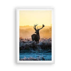 Plakat w białej ramie - Koronowany na swoich włościach - 61x91 cm