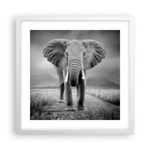 Plakat w białej ramie - Gospodarz wita - 40x40 cm