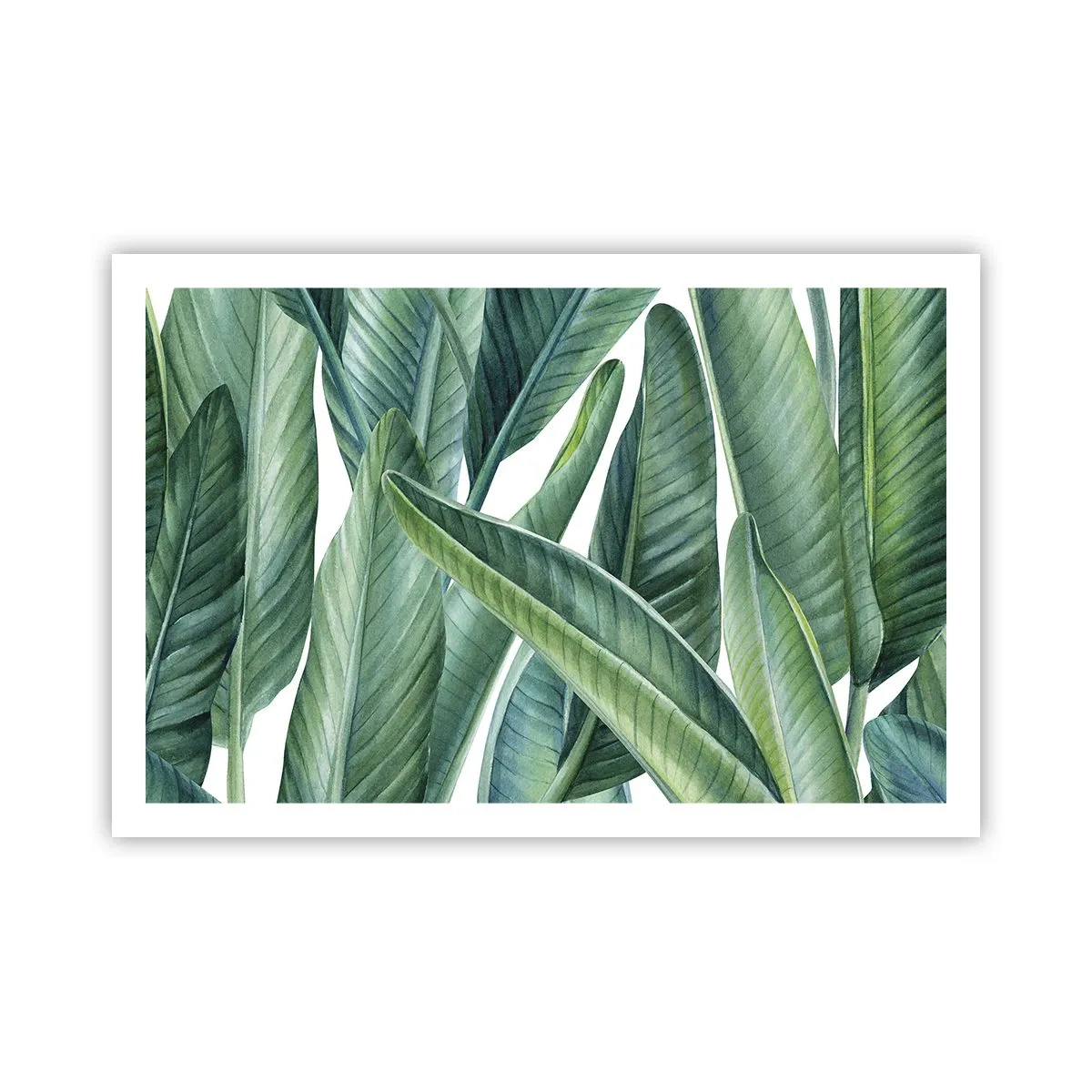 Plakat - Zieleń sama w sobie - 91x61 cm