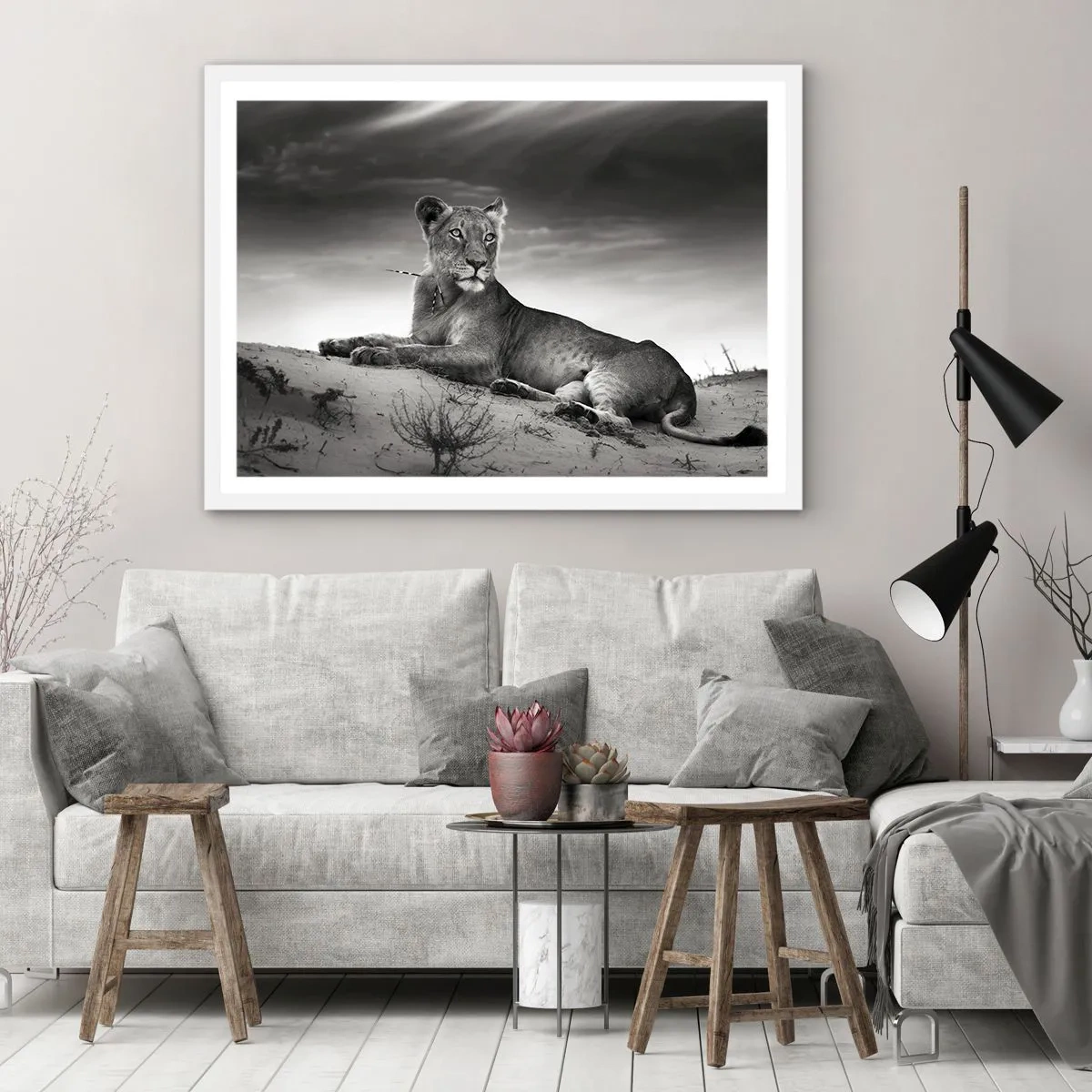 Plakat w białej ramie - Odpoczynek królowej pustyni - 91x61 cm