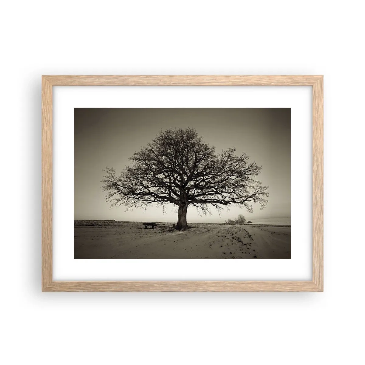 Plakat w ramie jasny dąb - Stąd do wieczności - 40x30 cm