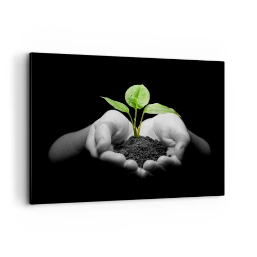 Obraz na płótnie - Dłonie trzymające zieloną roślinę na czarnym tle - 100x70cm - Kocham naturę, chronię ją - Nowoczesna dekoracja ścienna do salonu, kuchni i sypialni ARTTOR