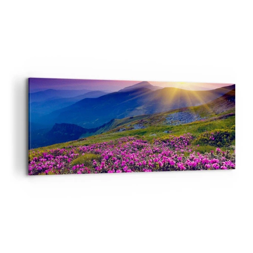 Obraz na płótnie - Kwitnąca łąka z widokiem na góry podczas zachodu słońca - 120x50cm - … A dokoła pachnie kosodrzewina i wonieją zioła - Nowoczesna dekoracja ścienna do salonu i sypialni ARTTOR