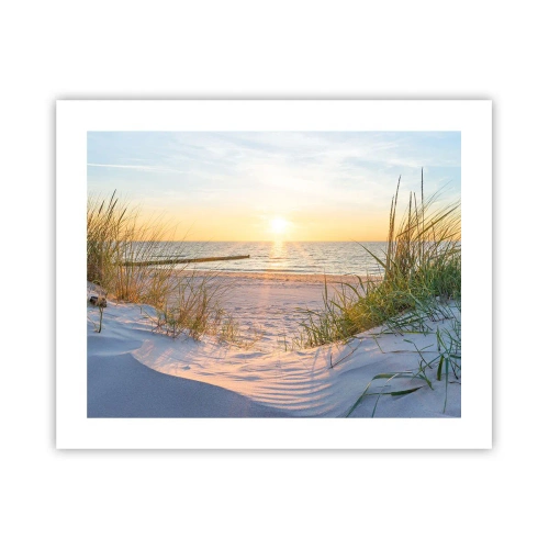 Plakat - Morza szum, ptaków śpiew, dzika plaża pośród traw… - 50x40 cm