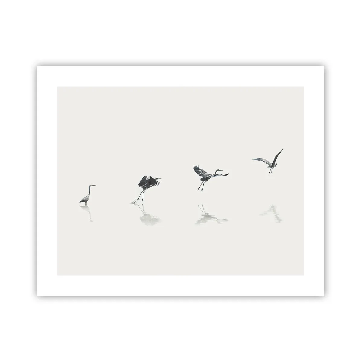 Plakat - Cztery proste kroki - 50x40 cm