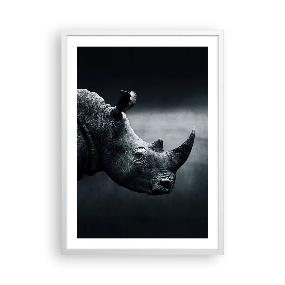 Plakat w białej ramie - Prawy profil - 50x70 cm