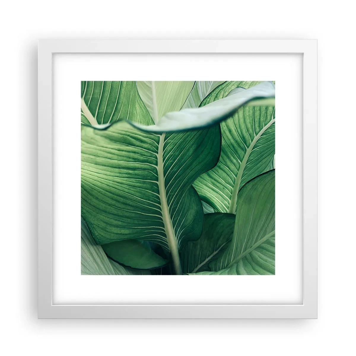 Plakat w białej ramie - Życie intensywnie zielone - 30x30 cm