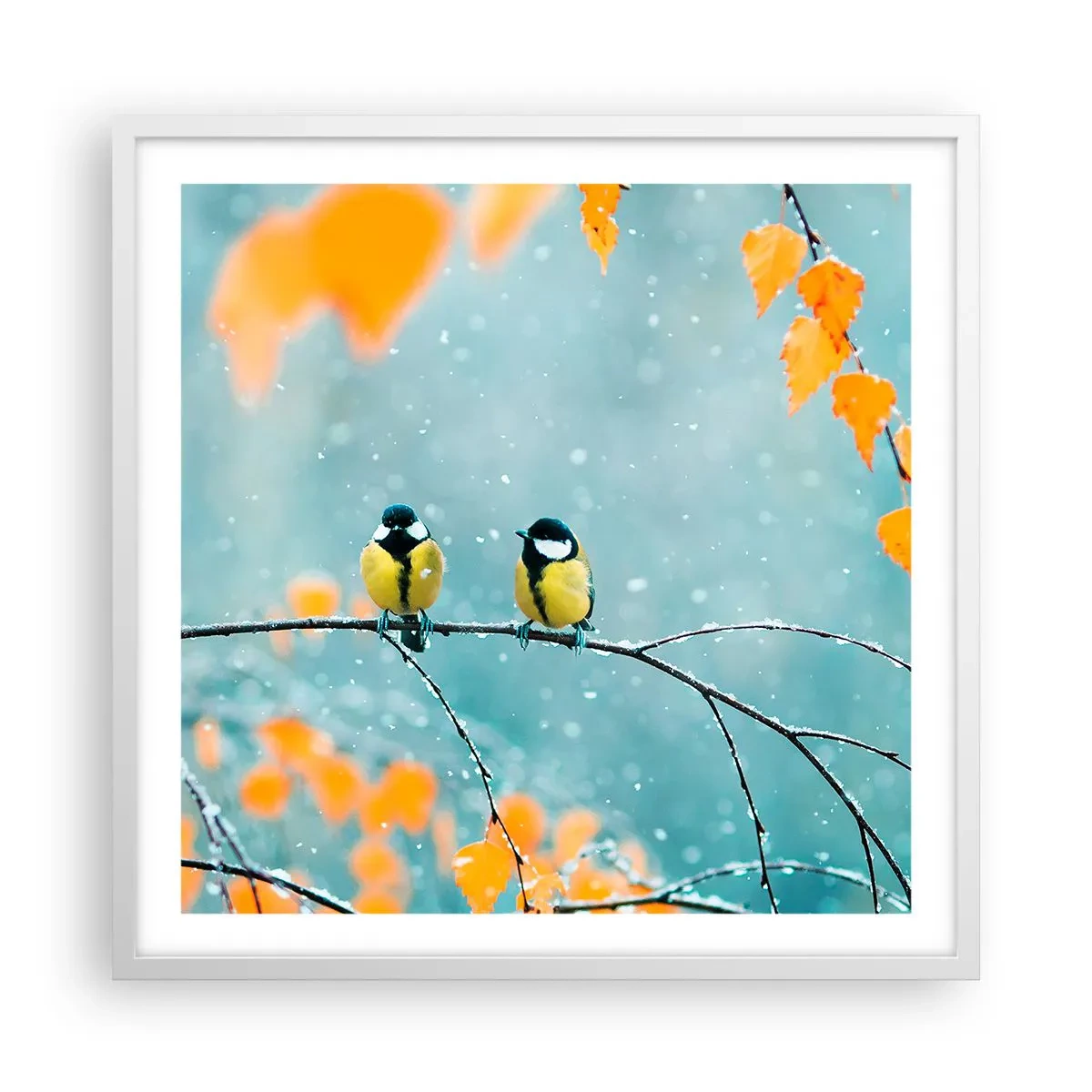 Plakat w białej ramie - Ptasie plotki - 60x60 cm