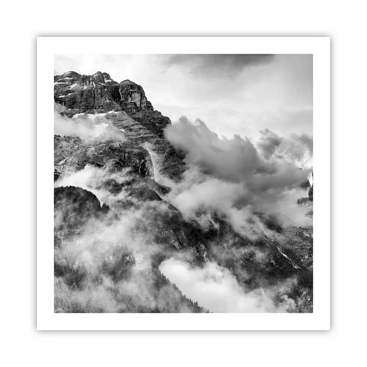 Plakat - Piękne i okrutne - 60x60 cm