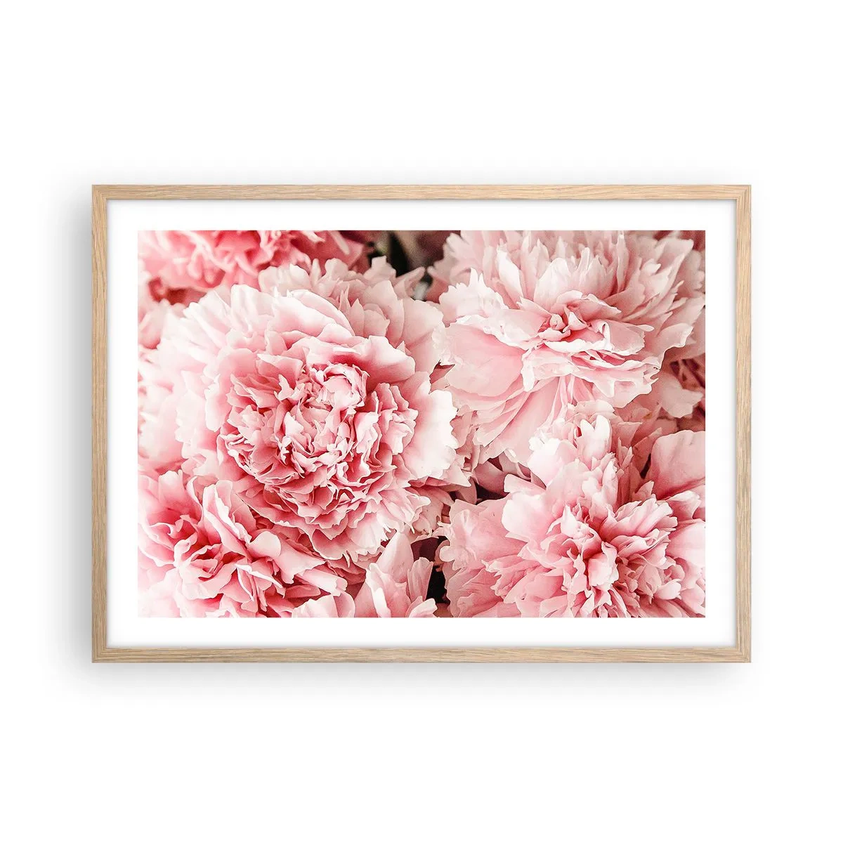 Plakat w ramie jasny dąb - Różowe marzenie - 70x50 cm