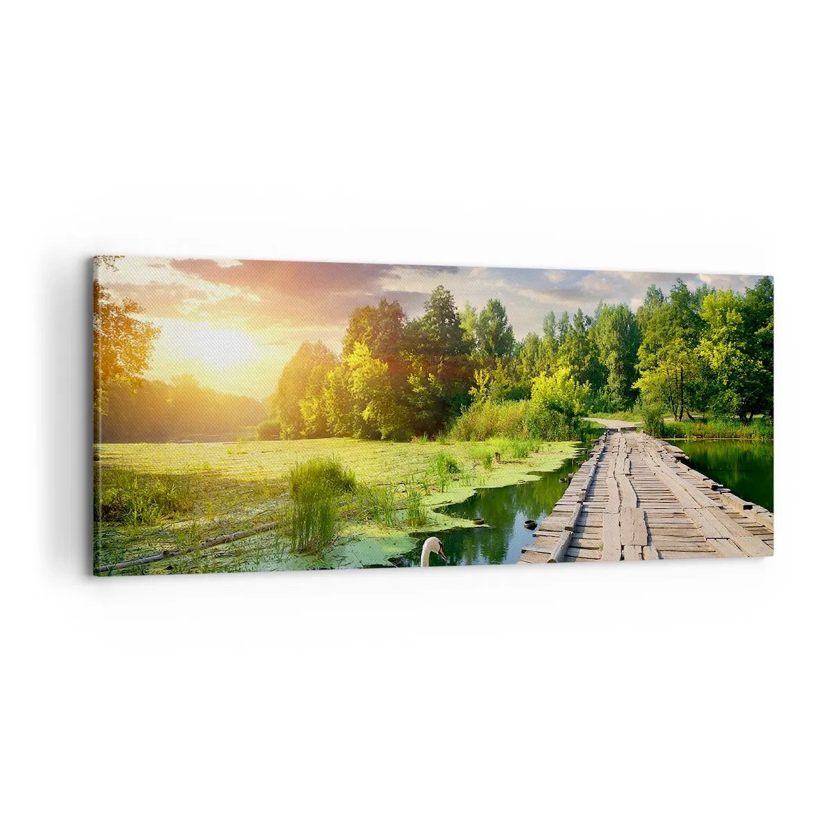 Obraz na płótnie - Lato, lato wszędzie - 100x40 cm