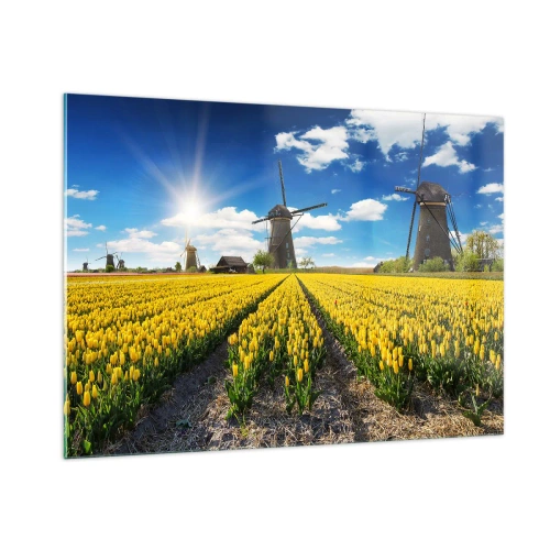 Obraz na szkle - Pole żółtych tulipanów z wiatrakami w tle w słoneczny dzień - 100x70cm - Bardziej holenderski być nie może - Nowoczesna dekoracja ścienna do salonu, kuchni i sypialni ARTTOR