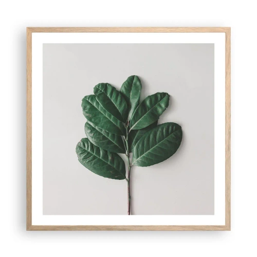 Plakat w ramie jasny dąb - Rysunek samej natury - 60x60 cm