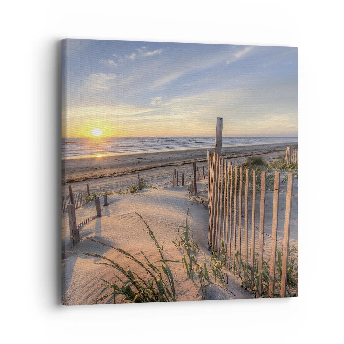 Obraz na płótnie - Blask i cień wiatru - 40x40 cm