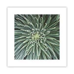 Plakat - Narodziny gwiazdy - 30x30 cm