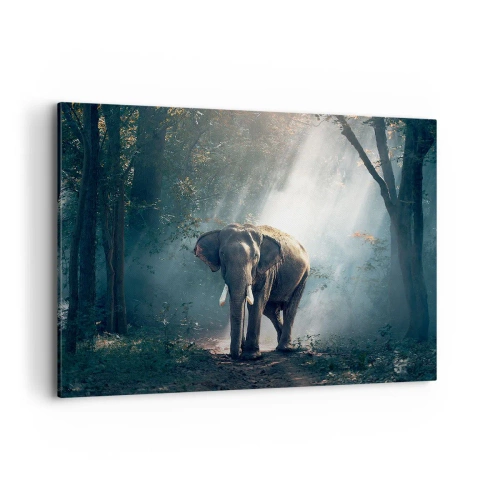Obraz na płótnie - Słoń w świetle lasu - 100x70cm - Spokojna przechadzka - Nowoczesna dekoracja ścienna do salonu, kuchni i sypialni ARTTOR
