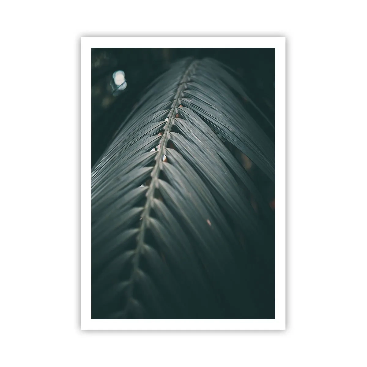 Plakat - Precyzja natury - 70x100 cm