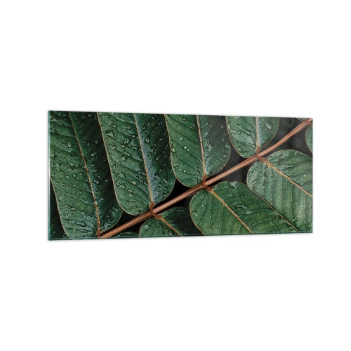 Obraz na szkle - Zielone liście z kroplami rosy w makro ujęciu - 120x50cm - W zielonym rytmie - Nowoczesna dekoracja ścienna do salonu i sypialni ARTTOR