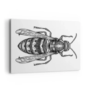 Obraz na płótnie - Rysunkowy motyw osy na białym tle w stylu minimalistycznym - 100x70cm - Z owadziej planety - Nowoczesna dekoracja ścienna do salonu, kuchni i sypialni ARTTOR