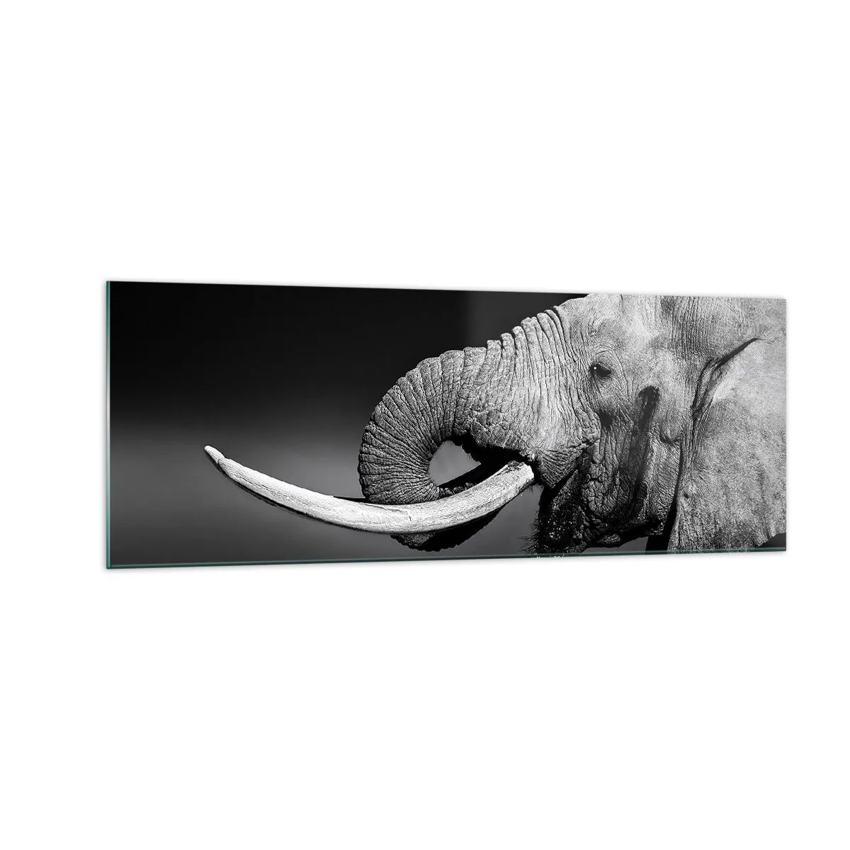 Obraz na szkle - Czarno-biały portret słonia z profilu - 140x50cm - Tak, teraz dobrze - Nowoczesna dekoracja ścienna do salonu i sypialni ARTTOR