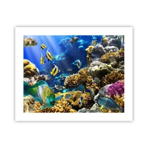 Plakat - Duży ruch na wakacyjnym szlaku - 50x40 cm