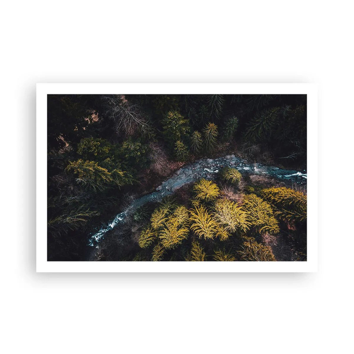 Plakat - Szybko, coraz szybciej - 91x61 cm
