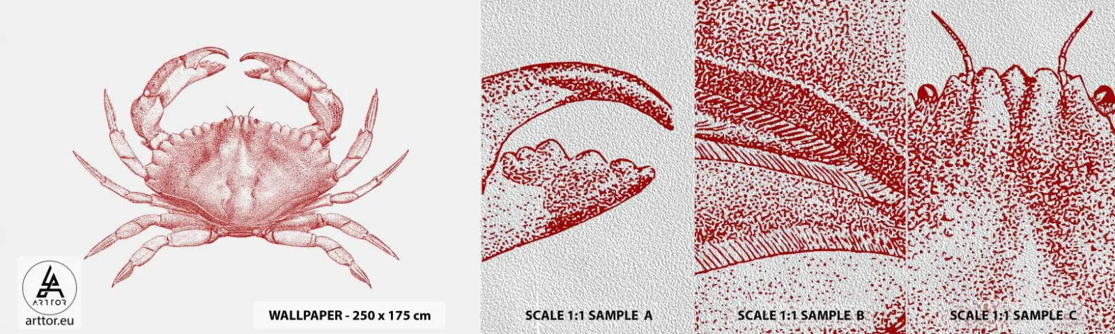 Fototapeta Próbka Premium Sand - Krab nad kraby - Krab, Owoce Morza, Skorupiak - 100x30 cm
