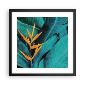 Plakat w czarnej ramie - Kwiat Edenu - 40x40 cm